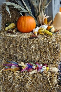 Autumn straw harvest