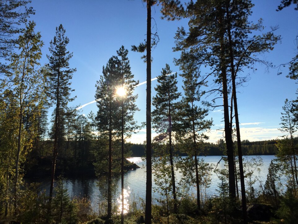 Mirror blue nature