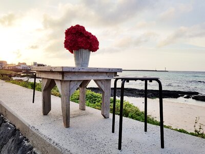 Table flowers glow