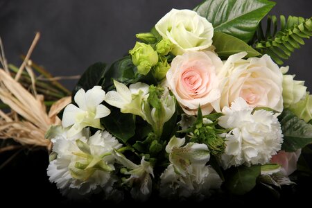 Bunch simple and elegant rose