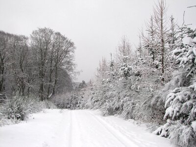 Winter white cold photo