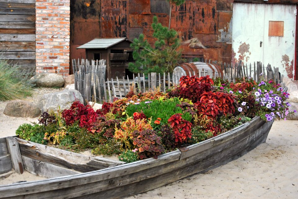 Golden autumn boat flower bed