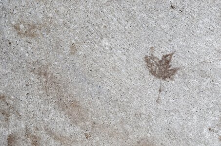 Concrete foliage leaves