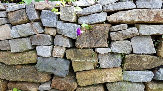 Flowers pattern wall