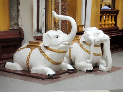 Myanmar temple elephants