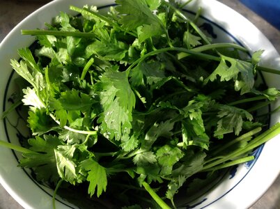 Vegetable healthy
