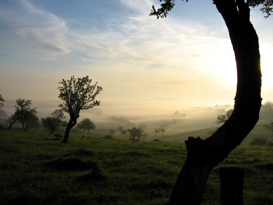 Landscape nature in the early morning photo