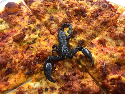 Hot brown pizza
