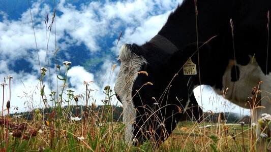 Alps nature clouds
