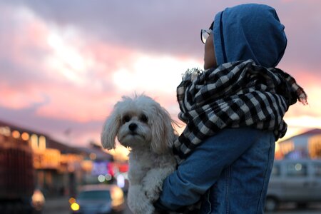 Evening girls dog