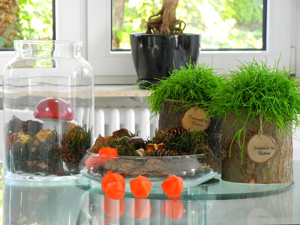 Arrangement composition wooden structure