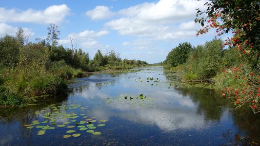 Of course natural water river