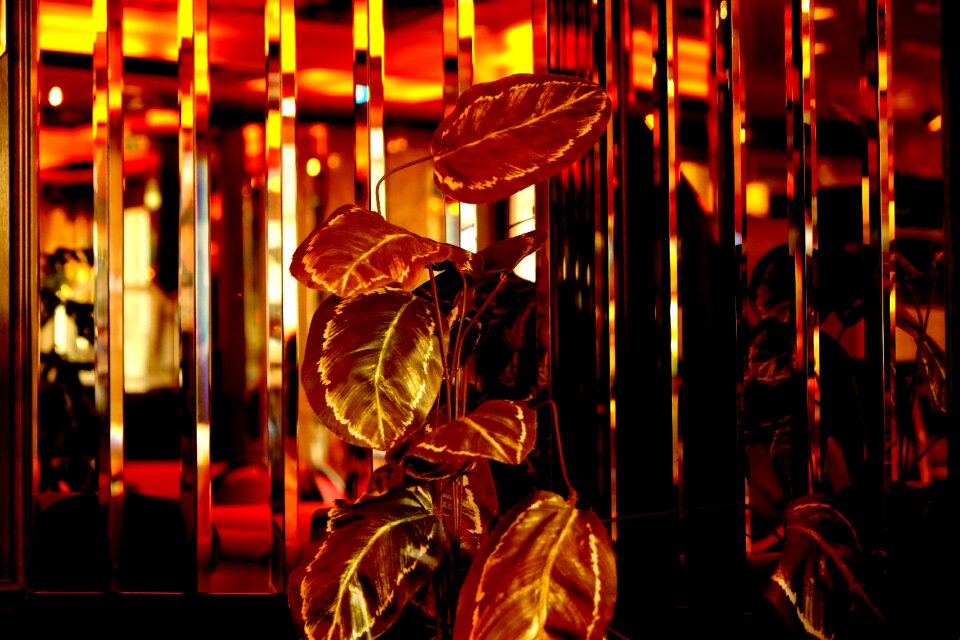 Flowers decoration building