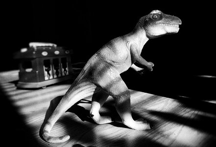 Monster play black dinosaur