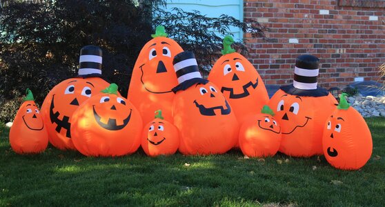 Halloween decor pumpkin patch photo