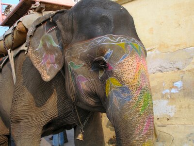 India decoration painted