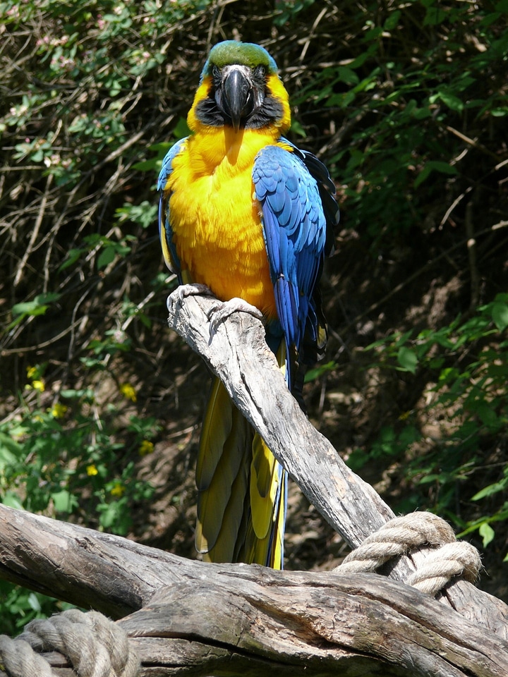 Nature colorful tropical