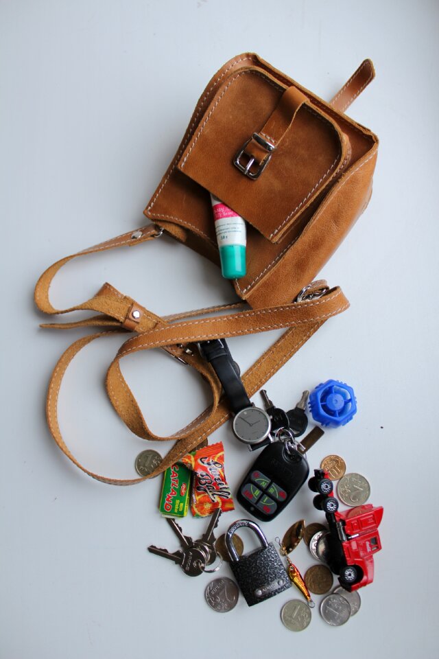 Handbag female within