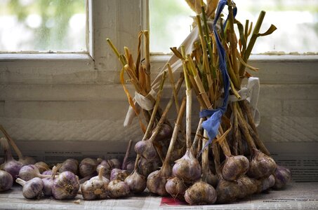 Comfort harvest dacha