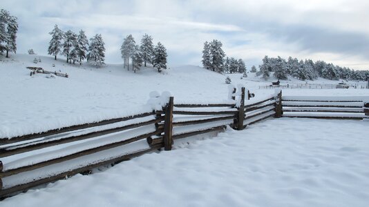 Cold nature landscape photo