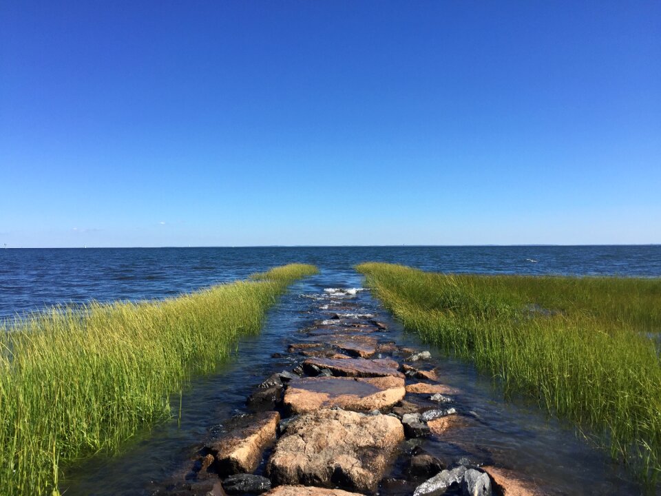 Horizon stone grass
