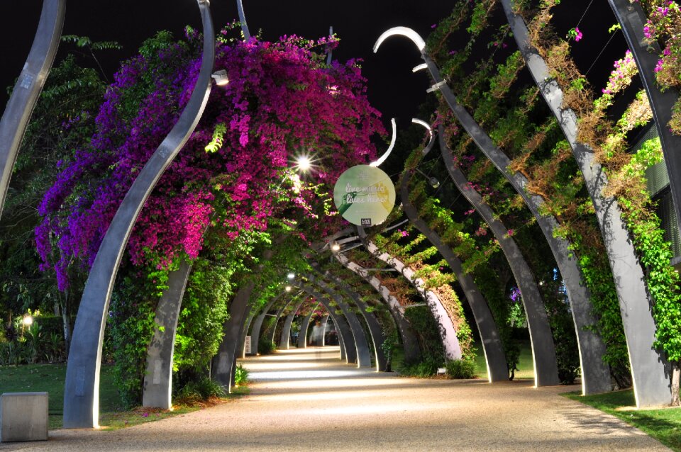 Queensland city parklands