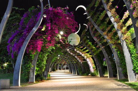 Queensland city parklands photo