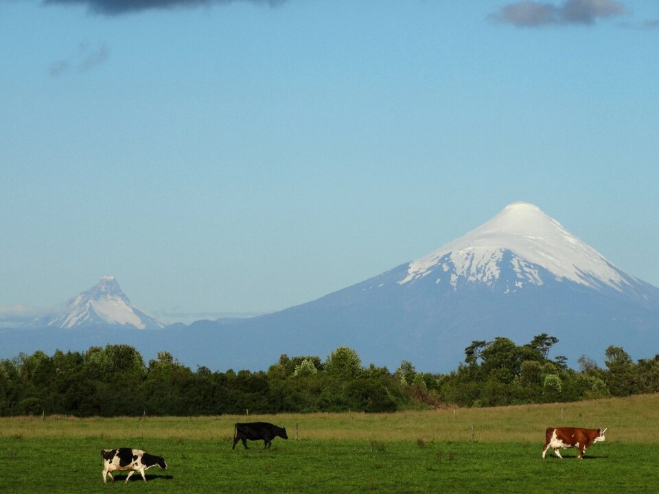 Prairie landscape toro