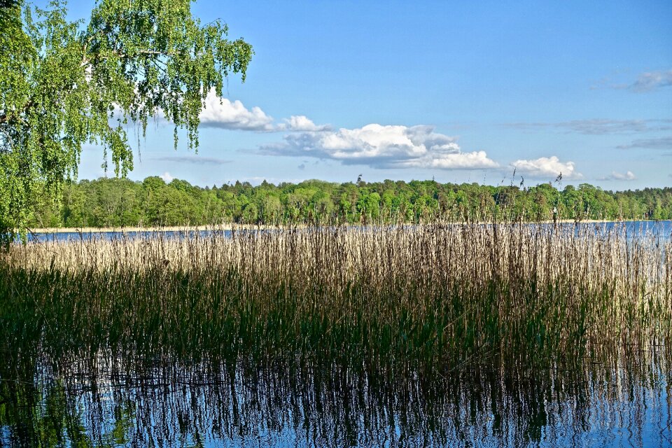 Lake reflection nature
