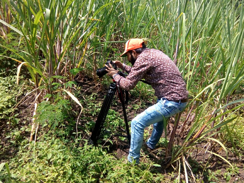 Camera entertainment video shooting