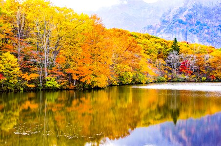 Autumnal leaves nagano shinshu photo