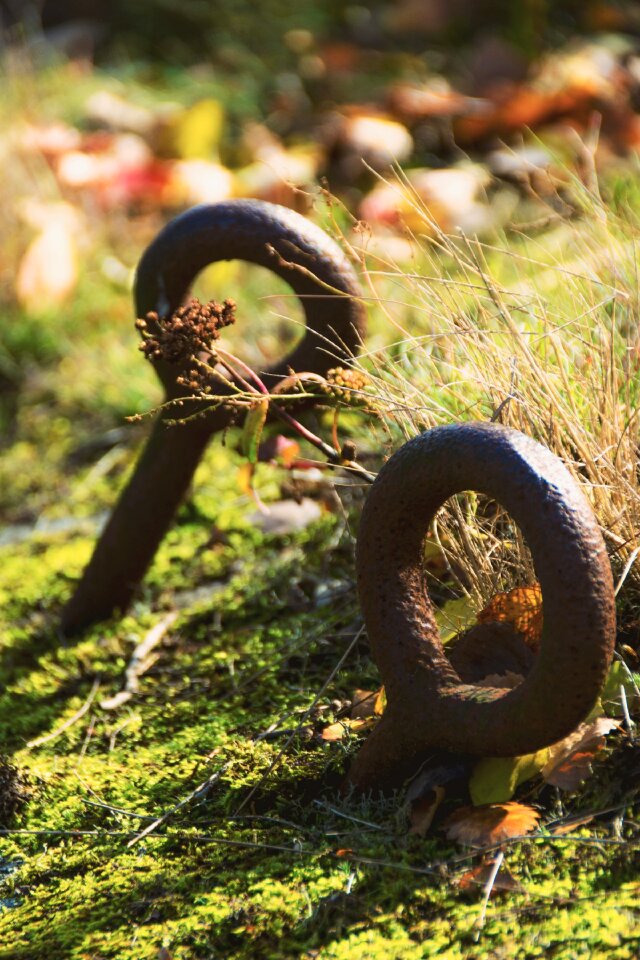 A loop nature decline