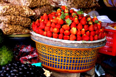 Fruits assortment display