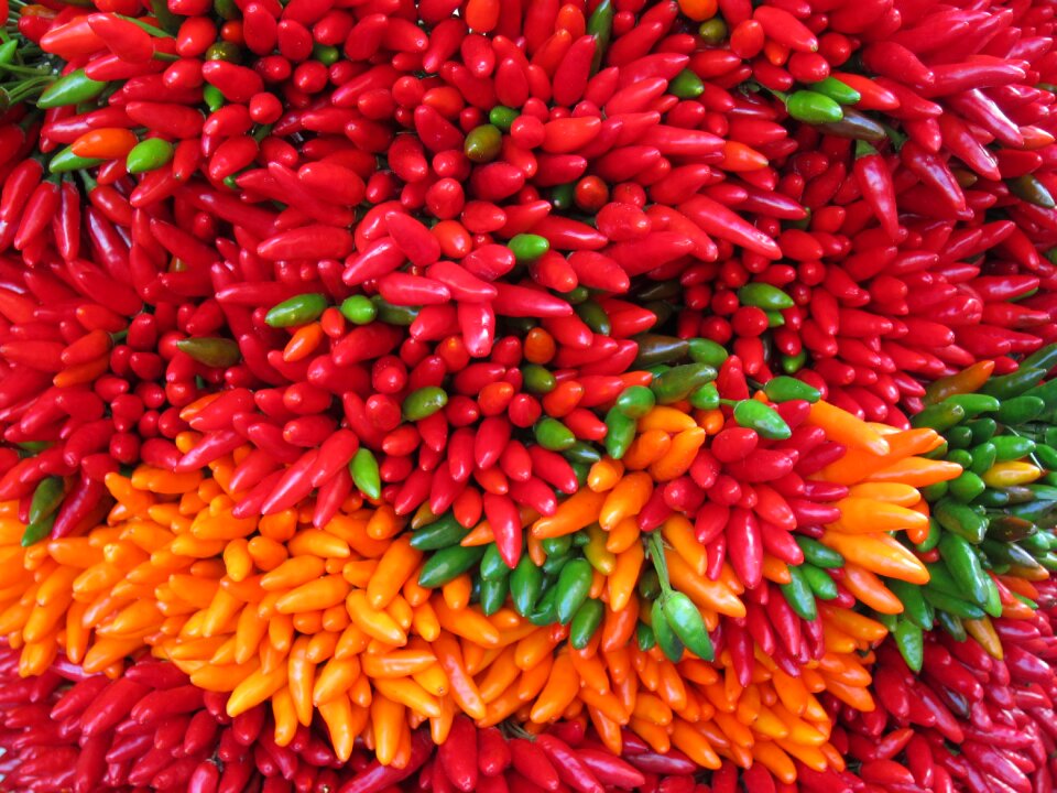 Chilli pepper sharp fiery