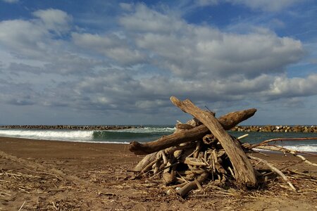 Sea beach wood photo