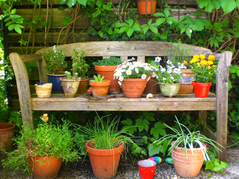 Flower pots flowers bank