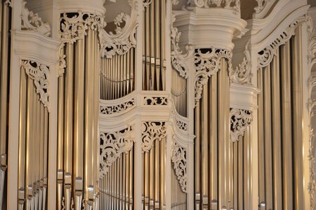 Saarbrücken organ detail