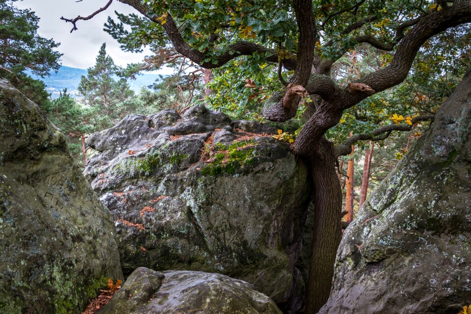 Hiking resin hike