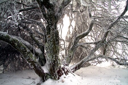 Hochrhoen wasserkuppe rhön winter