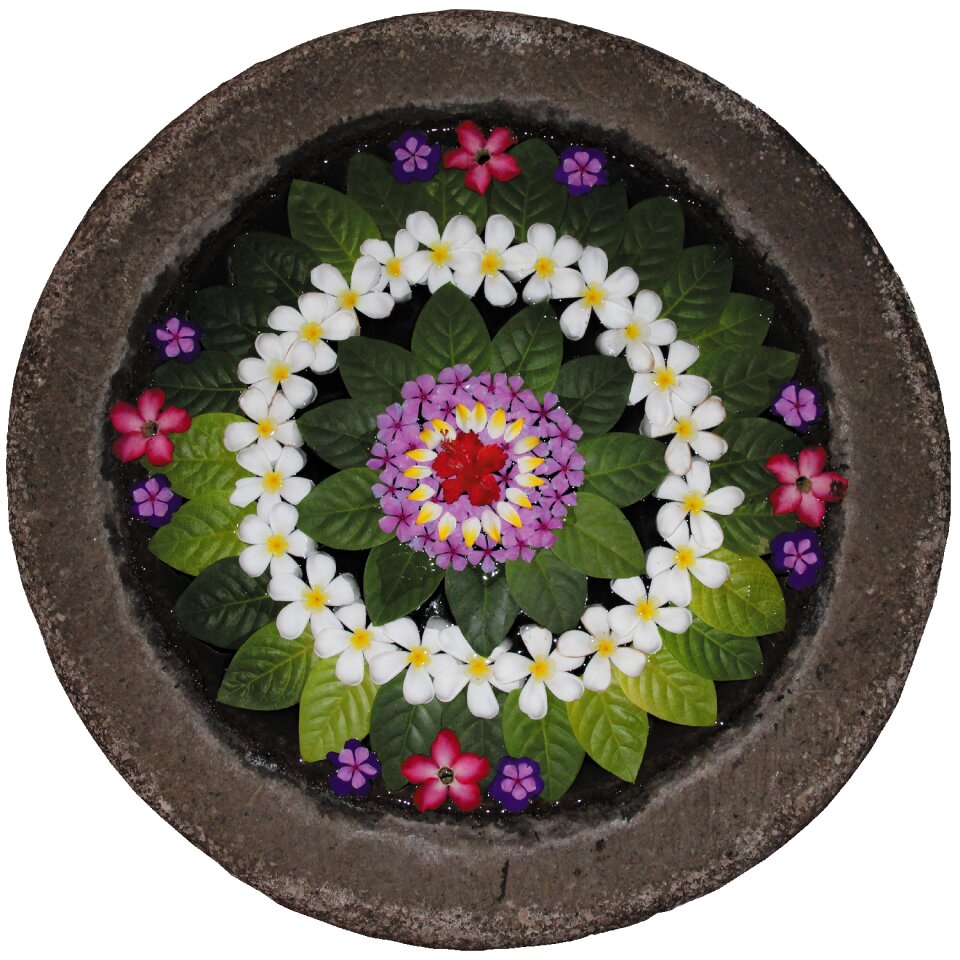 Water flower bowl flowers