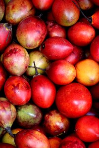 Red fruit exotic fruits colorful