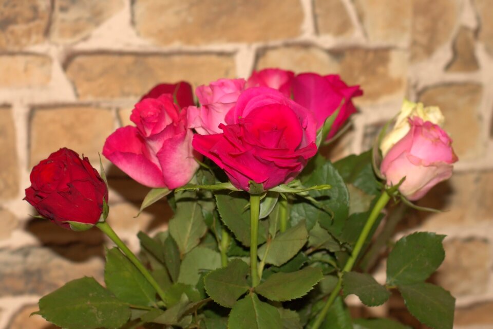Bouquet bouquet of roses flowers