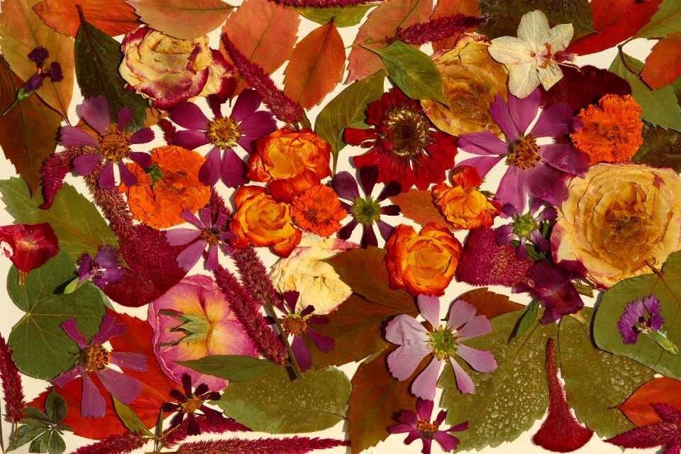 Spring festival table fall the leaves are