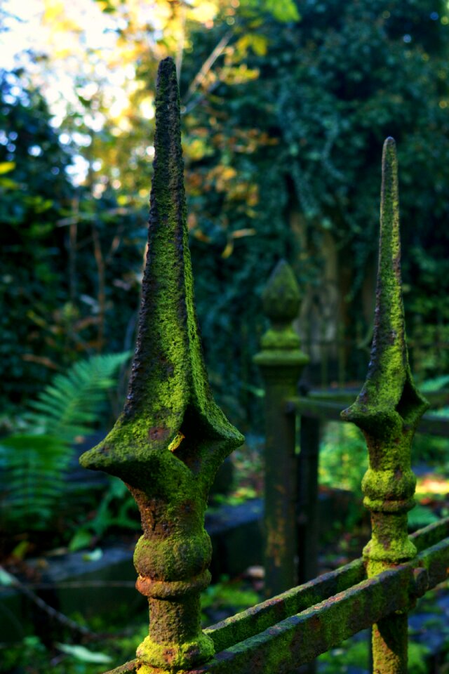 Green cemetery material