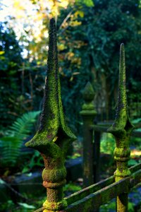 Green cemetery material