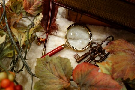 Mystery magnifying glass autumn