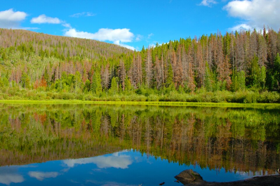 Trees mountain lake water photo