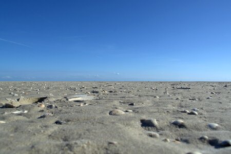 North frisian außensände national park schleswig-holstein wadden sea photo