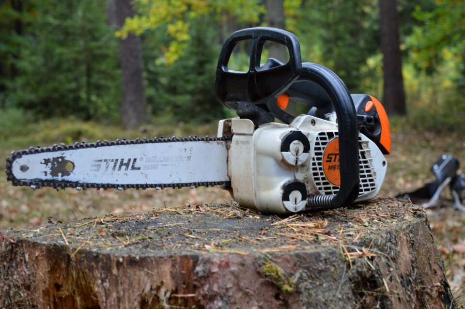 Motor wood carving trimming trees