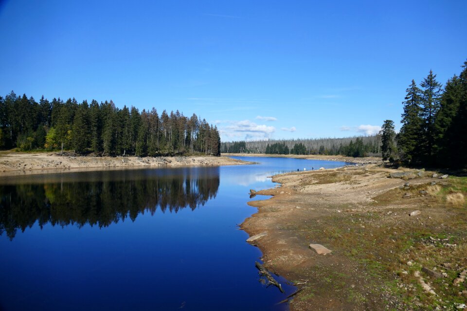 Nature forest water